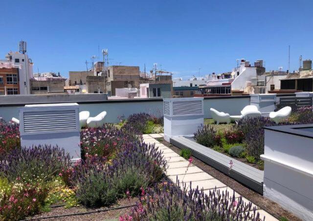 Zen Garden Apartment Las Palmas de Gran Canaria Exterior photo