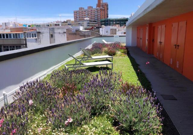 Zen Garden Apartment Las Palmas de Gran Canaria Exterior photo